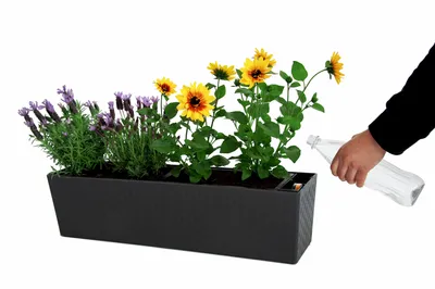 Obrázek produktu pro Samozavlažovací květináč SUPREME - 75 cm