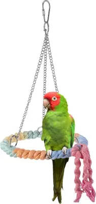 Produktbild von Vogelschommel Spielzeug - Bunte Conure Stand zum Aufhängen - Metallhaken für Wellensittich, Nymphensittich, Liebesvogel, Budgie, Conure