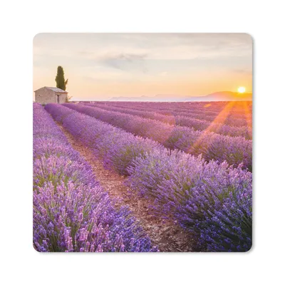 Produktbild von MuchoWow® Mauspad Mousepad Lavendel - Sonnenuntergang - Blumen - Lila 20x20 cm - Mousepads - Maus Mat - Pad - Mausunterlage - Desk Mat - Bureauartikeln