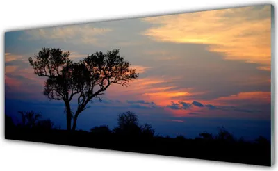 Produktbild von Glasbilder 125x50 Wandbild Druck auf Glas Baum Natur