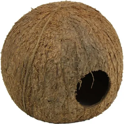 Produktbild von JBL Cocos Cava Größe L 3/4 Kokosnuss-Schale als Höhle für Aquarien und Terrarien