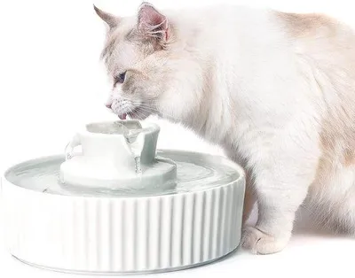 Produktbild von Famanu Keramische Trinkbrunnen 2,1 Liter - Mit Ersatzfiltern