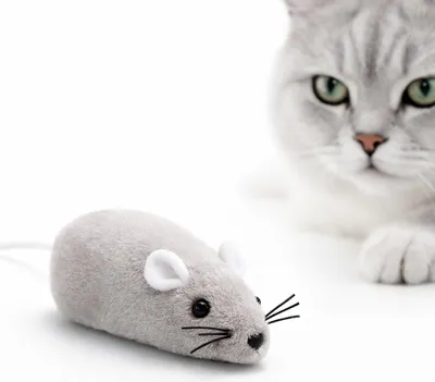 Image de Souris | jouet pour chat | 5 cm
