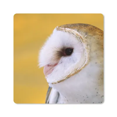 Produktbild von MuchoWow® Mauspad Mousepad Eule - Gelb - Tier 30x30 cm - Mousepads - Maus Mat - Pad - Mausunterlage - Gaming