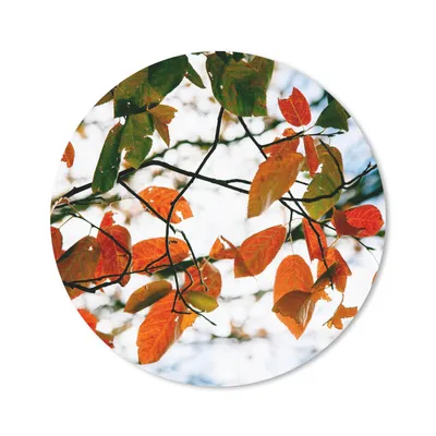 Produktbild von MuchoWow® Mauspad Mousepad Herbst - Blätter - Landleben - Jahreszeiten 20x20 cm - Mousepads - Maus Mat - Pad - Mausunterlage - Schreibtischmatte