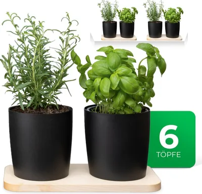 Produktbild von Novaliv Stilvolle Kräuterstation 6er Set mit Holzunterlage und 6 Kräutertöpfe für jede Fensterbank, Für frische Küchenkräuter, Kräutergarten für die küche, Kräuterbeet indoor, Blumentopf, Übertopf