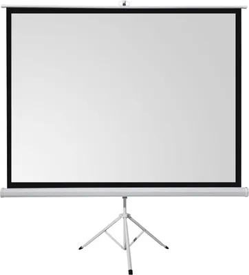 Produktbild von celexon basic Stativ-Leinwand 120" | 220x220 cm 1:1 | mobile transportable 4K, Full-HD Leinwand | Beamerleinwand mit Stativ für Heimkino- und Büropräsentationen | Blitzschneller Aufbau in 3 Schritten