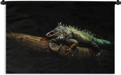 Produktbild von MuchoWow® Wandteppich Wandbehang Tier - Zweig - Schwarz 120x80 cm Tapisserie Dekoration Wandtuch - Wanddekorationen - Wandtücher