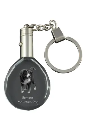 Produktbild von Berner Sennenhund, Dürrbächler, Bouvier bernois - Anhänger mit einem Foto eines Hundes, Schlüsselanhänger aus Kristall in einer Geschenkbox, ein einzigartiges Geschenk von Art-Dog