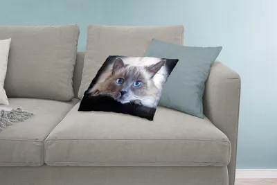 Produktbild von MuchoWow® Zierkissen Sofakissen Wohnzimmer Dekokissen 60x40 cm Katze - Grau - Nahaufnahme - Kopfkissen - Polster mit Foto
