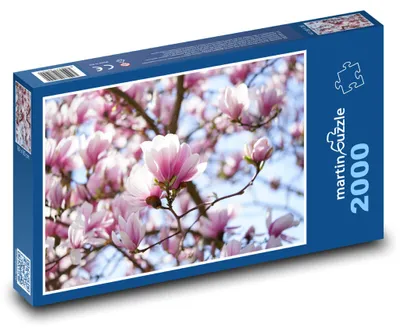Obrázek produktu pro martinpuzzle - Puzzle 2000 - Magnölie - květ, rostlina