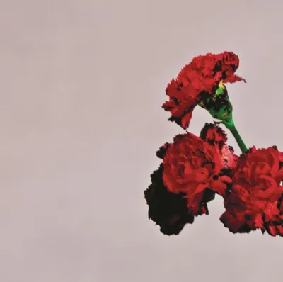 Produktbild von Legend,John-Love In The Future