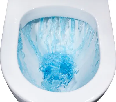 Produktbild von BERNSTEIN Spülrandloses Wand-Hänge-WC B-8030R in Weiß - Inklusive Softclose-Deckel