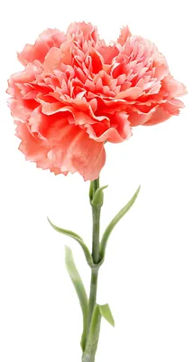 Produktbild von Künstliche Nelke, realistische Seidenblume, Stiel, für Hochzeiten, Partys, drinnen und draußen, Geschenk zum Muttertag oder Lehrertag