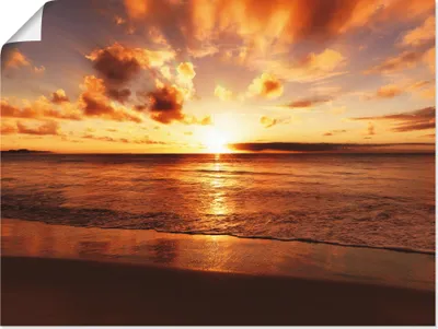 Produktbild von ARTland Poster Schöner Sonnenuntergang Strand Größe: 40x30 cm