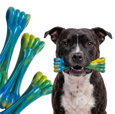 Produktbild von Hundespielzeug: Unzerstörbares Nylon-Kauspielzeug mit Speckgeschmack
