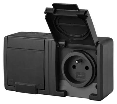 Image de AQUANT 2K prise en saillie étanche double IP55 2x2P+T anthracite 5042-17 EPN