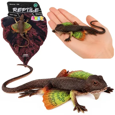 Immagine prodotto di Agama Lucertola Palmata Figura in Gomma Estensibile Realistica 13 Cm