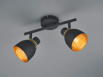 Produktbild von Industrial Deckenstrahler 2-flammig Metall Lampenschirm Schwarz Drahtgitter Gold