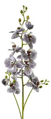 Produktbild von Clayre & Eef Kunstblume 116 cm Violett Kunststoff