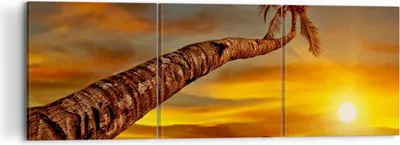 Produktbild von Bild auf Leinwand - Leinwandbild - Palme Landschaft Sonne - 120x40cm - Wand Bild - Wanddeko - Leinwanddruck - Bilder - Kunstdruck - Wanddekoration - Leinwand bilder - Wandkunst - CA120x40-0162