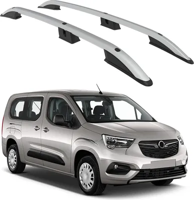 Immagine prodotto di TETTO TURTLE ROLLER CROWN OPEL COMBO LIFE 2019 2020 2021 2022 2023 2024 (SWB) , Argento