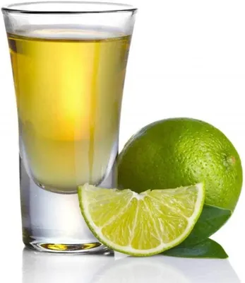 6 Shotgläser 50 ml Klarglas Heavy Base für Wodka/Whiskey