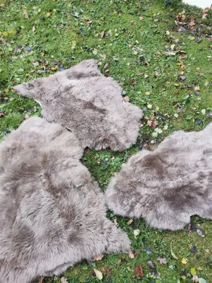 Produktbild von Echtes Schaffell – rustikales Naturfell für Teppich, Felldecke oder Deko – kleine Schönheitsfehler Taupe.Größe:120cm - 130cm