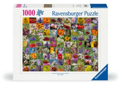 Immagine prodotto di 99 Api Ravensburger 12000617