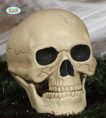 Produktbild von Skelett Schädel Horror Deko Totenkopf Party Requisite Gruseliges Ambiente Halloween Stimmung, Farbe: Beige