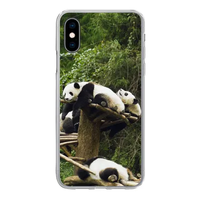 Produktbild von MuchoWow® Handyhülle Schutzhülle Hülle für iPhone X Pandas - Holz - Treppe Silikon Softcase Handy Hülle - Handyhülle