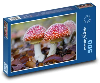 Obrázek produktu pro Puzzle 500 Podzimní muchomůrka červená - martinpuzzle
