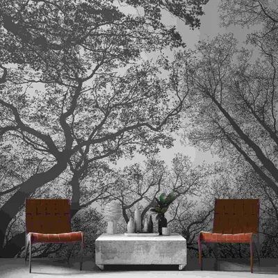 Produktbild von A.S. Creation Livingwalls Fototapete The Wall 382401 Eine Rolle Ein Motiv 3.71 x 2.80 m Wald Grau
