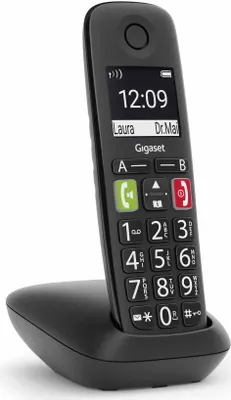 Produktbild von E290 schwarz Schnurloses Telefon