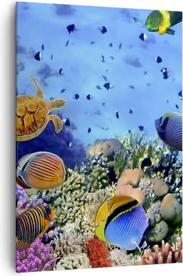 Produktbild von Bild auf Leinwand - Leinwandbild - Einteilig - Korallenriff - 70x100cm - Wand Bild - Wanddeko - Wandbilder - Leinwanddruck - Kunstdruck - Wanddekoration - Leinwand bilder - Wandbild - PA70x100-3569