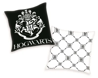 Produktbild von Kissen Canvaskissen Harry Potter  Dekokissen 50 x 50 cm