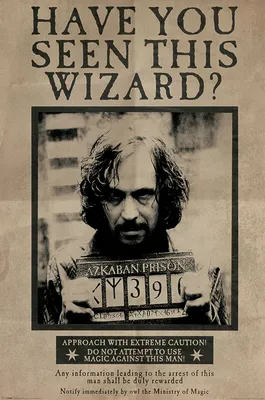 Produktbild von Pyramid International PP33681, 1 Stück(e), Wizarding World, Rechteck