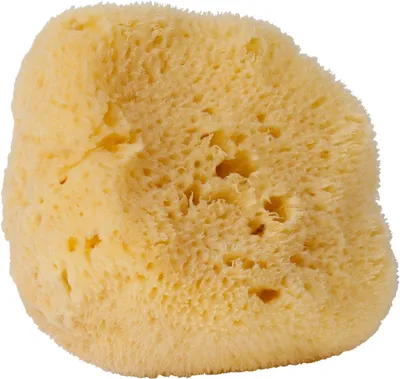 Produktbild von Natürlicher Meeresschwamm, ca. 10 cm