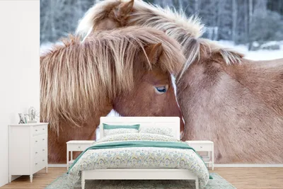 Produktbild von MuchoWow® Fototapete für Wohnzimmer oder Schlafzimmer Wandtapete Vinyl Motivtapete Pferde - Fohlen - Schnee - 450x300 cm - Gemusterte