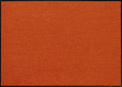 Produktbild von Erwin Müller Fußmatte Mainz" terra 40x60 cm"