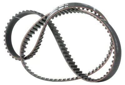 Immagine prodotto di Cintura dentata