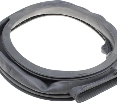 Immagine prodotto di Electrolux - Türverschluss - G60 Xxl - 1327246417