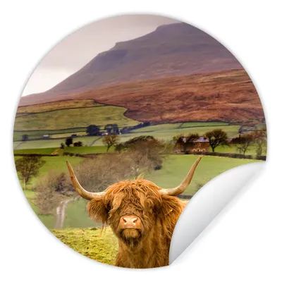 Produktbild von MuchoWow® Runde Wandtattoo - Wandsticker Tapete Aufkleber Schottischer Highlander - Berg - Herbst Ø 50 cm Selbstklebend und Repositionierbar - Wandaufkleber - Kreis - Wand Kreis - Wand Bild - Foto Tapete - Selbstklebende - Wohnzimmerdekoration - Wand Dekoration - Kinderzimmer