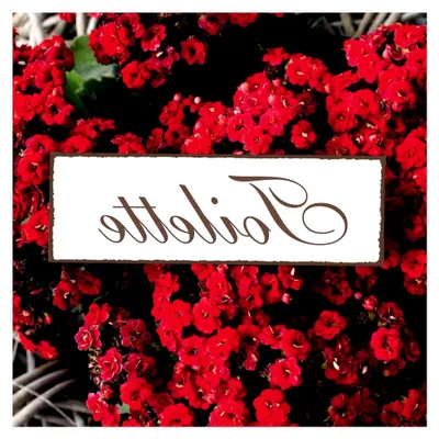Produktbild von SCHILD Dekoschild Shabby Vintage Holzschild selbstklebend Türschild Kloschild Toilettenschild 15x5cm