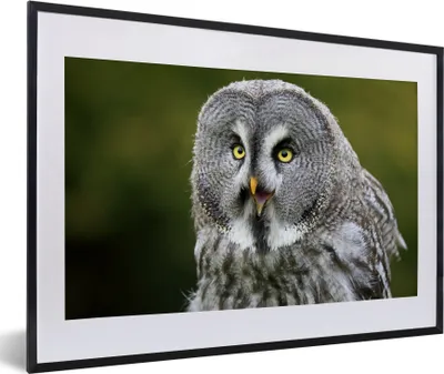Produktbild von MuchoWow® MuchoWow® Gerahmtes Poster Vogel - Eule - Grau 60x40 cm - Poster mit zchwarzem Bilderrahmen - Schlafzimmer - Plakat in Rahmen - Drucken
