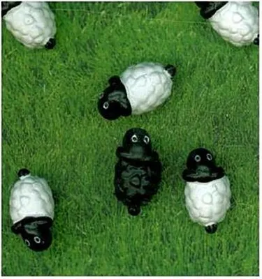 Produktbild von Magnete SHEEP 6er Set weiss/schwarz