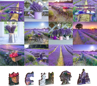 Produktbild von WOODEN CITY Holzpuzzle Lavendel Frankreich 2in1, 75 Teile ECO