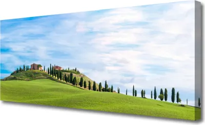Produktbild von Tulup Leinwand-Bilder 125x50 Wandbild Canvas Kunstdruck Wiese Bäume Landschaft