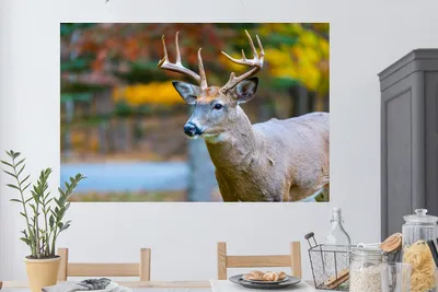 Produktbild von MuchoWow® - Selbstklebend - Fototapeten