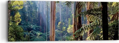Produktbild von Bild auf Leinwand - Leinwandbild - 3 Teile - Morgendämmerung Bäume Wald - 90x30cm - Wand Bild - Wanddeko - Wandbilder - Leinwanddruck - Bilder - Wanddekoration - Leinwand bilder - CA90x30-4403